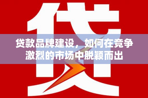 石龙贷款品牌建设，如何在竞争激烈的市场中脱颖而出