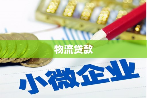 石龙物流贷款