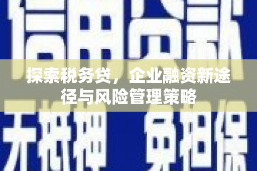 石龙探索税务贷，企业融资新途径与风险管理策略