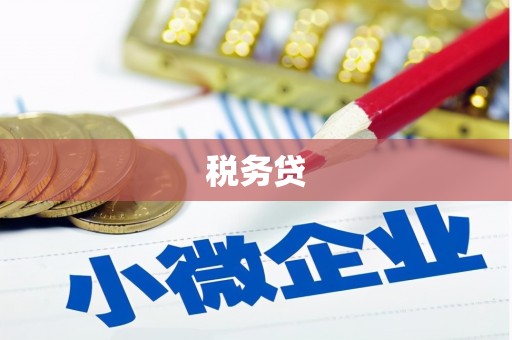石龙税务贷
