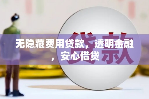 石龙无隐藏费用贷款，透明金融，安心借贷