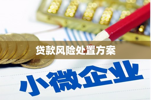 石龙贷款风险处置方案