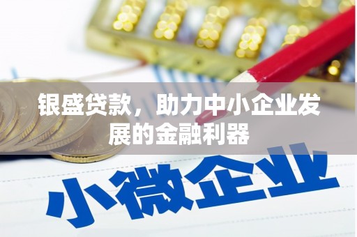 石龙银盛贷款，助力中小企业发展的金融利器
