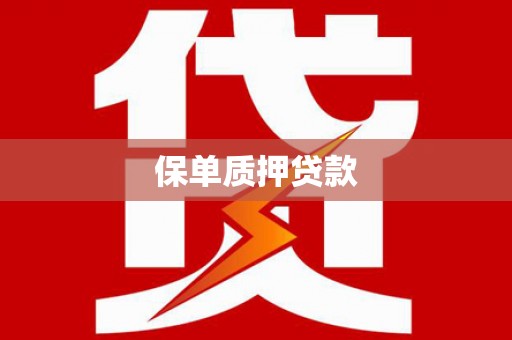 石龙保单质押贷款