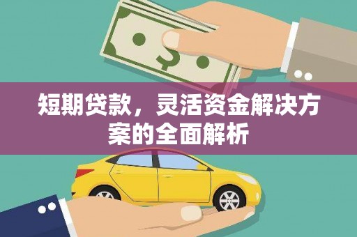 石龙短期贷款，灵活资金解决方案的全面解析