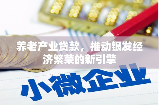 石龙养老产业贷款，推动银发经济繁荣的新引擎