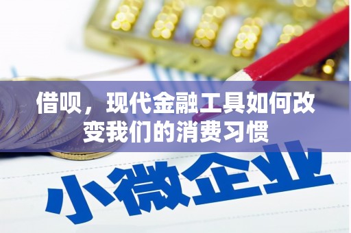 石龙借呗，现代金融工具如何改变我们的消费习惯
