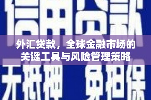 石龙外汇贷款，全球金融市场的关键工具与风险管理策略