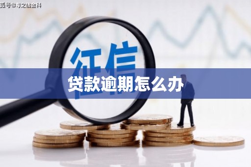 石龙贷款逾期怎么办