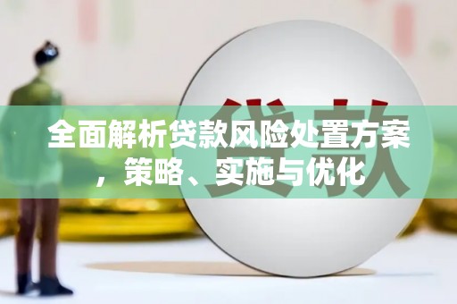 石龙全面解析贷款风险处置方案，策略、实施与优化