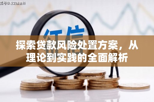 石龙探索贷款风险处置方案，从理论到实践的全面解析