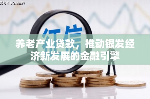 石龙养老产业贷款，推动银发经济新发展的金融引擎