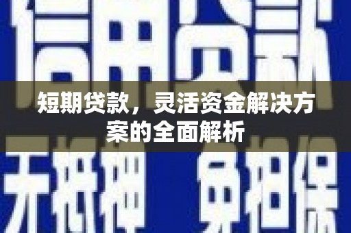 石龙短期贷款，灵活资金解决方案的全面解析