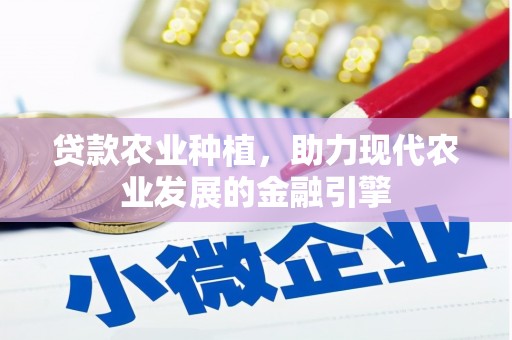 石龙贷款农业种植，助力现代农业发展的金融引擎