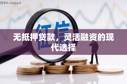 石龙无抵押贷款，灵活融资的现代选择