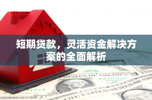 石龙短期贷款，灵活资金解决方案的全面解析
