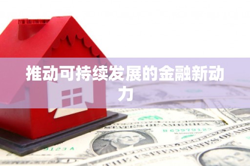 石龙推动可持续发展的金融新动力