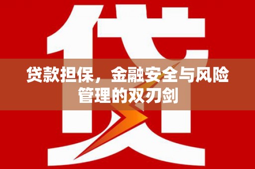 石龙贷款担保，金融安全与风险管理的双刃剑