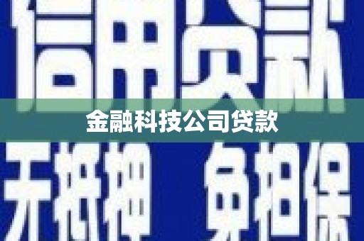 石龙金融科技公司贷款