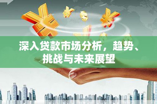 石龙深入贷款市场分析，趋势、挑战与未来展望