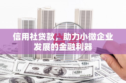 石龙信用社贷款，助力小微企业发展的金融利器