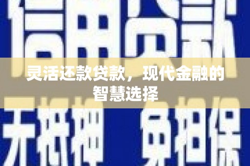 石龙灵活还款贷款，现代金融的智慧选择