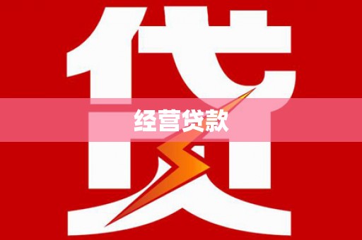 石龙经营贷款