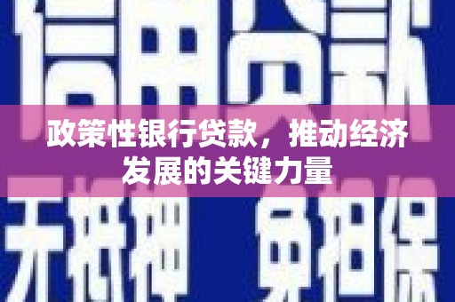 石龙政策性银行贷款，推动经济发展的关键力量