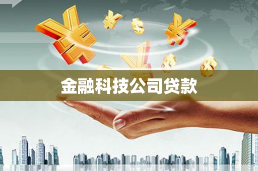 石龙金融科技公司贷款