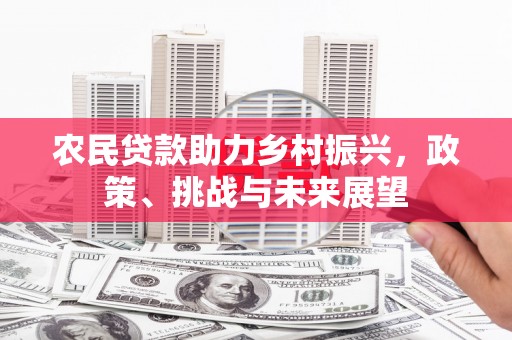 石龙农民贷款助力乡村振兴，政策、挑战与未来展望