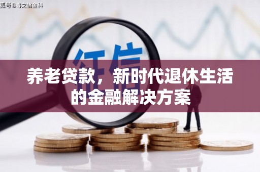 石龙养老贷款，新时代退休生活的金融解决方案