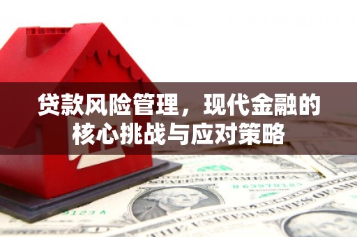 石龙贷款风险管理，现代金融的核心挑战与应对策略