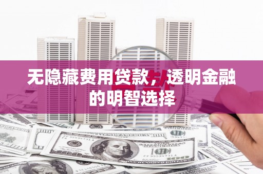 石龙无隐藏费用贷款，透明金融的明智选择