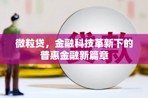石龙微粒贷，金融科技革新下的普惠金融新篇章