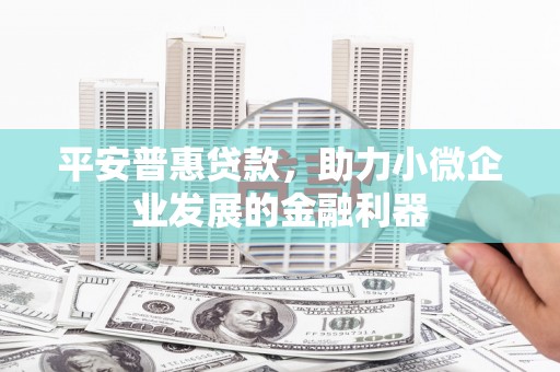 石龙平安普惠贷款，助力小微企业发展的金融利器