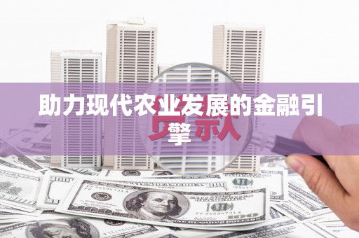 石龙助力现代农业发展的金融引擎
