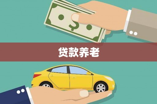 石龙贷款养老