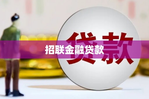 石龙招联金融贷款