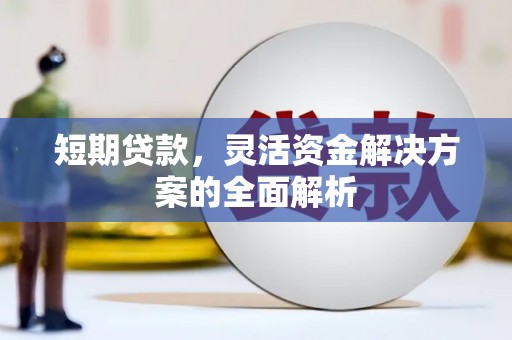 石龙短期贷款，灵活资金解决方案的全面解析