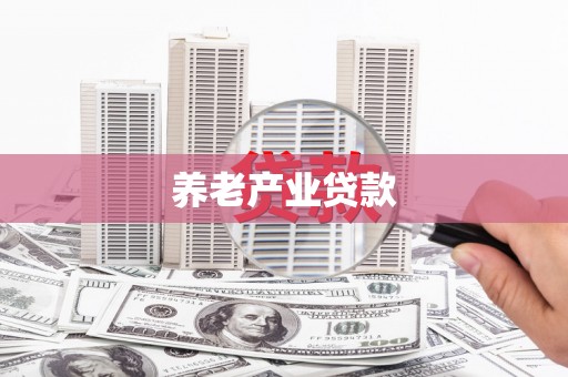 石龙养老产业贷款