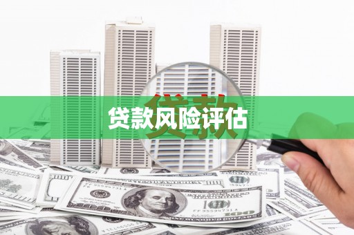石龙贷款风险评估