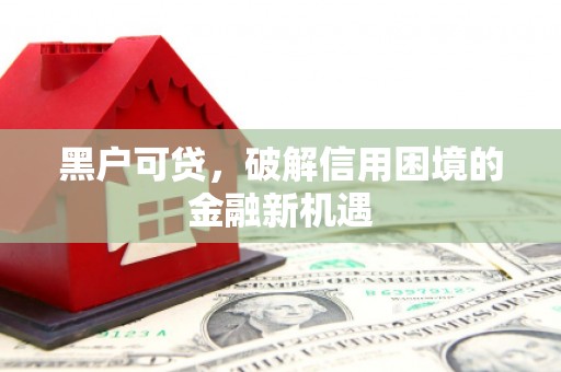 石龙黑户可贷，破解信用困境的金融新机遇