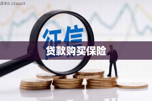 石龙贷款购买保险