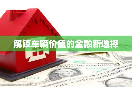 石龙解锁车辆价值的金融新选择