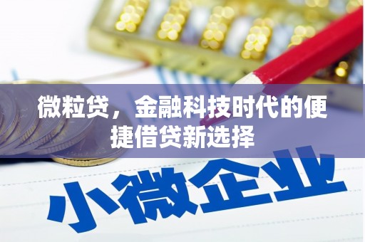 石龙微粒贷，金融科技时代的便捷借贷新选择