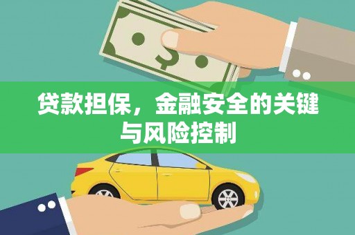 石龙贷款担保，金融安全的关键与风险控制