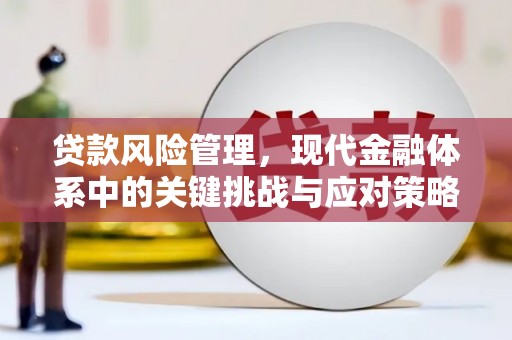 石龙贷款风险管理，现代金融体系中的关键挑战与应对策略