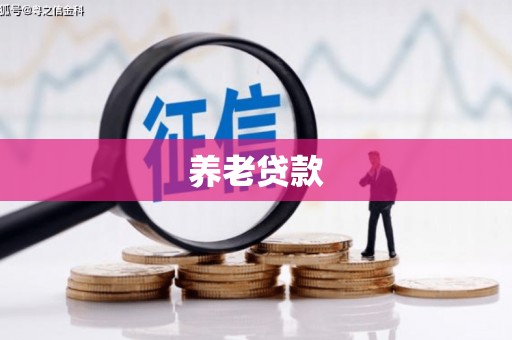 石龙养老贷款