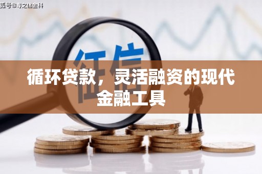 石龙循环贷款，灵活融资的现代金融工具