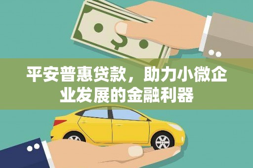 石龙平安普惠贷款，助力小微企业发展的金融利器